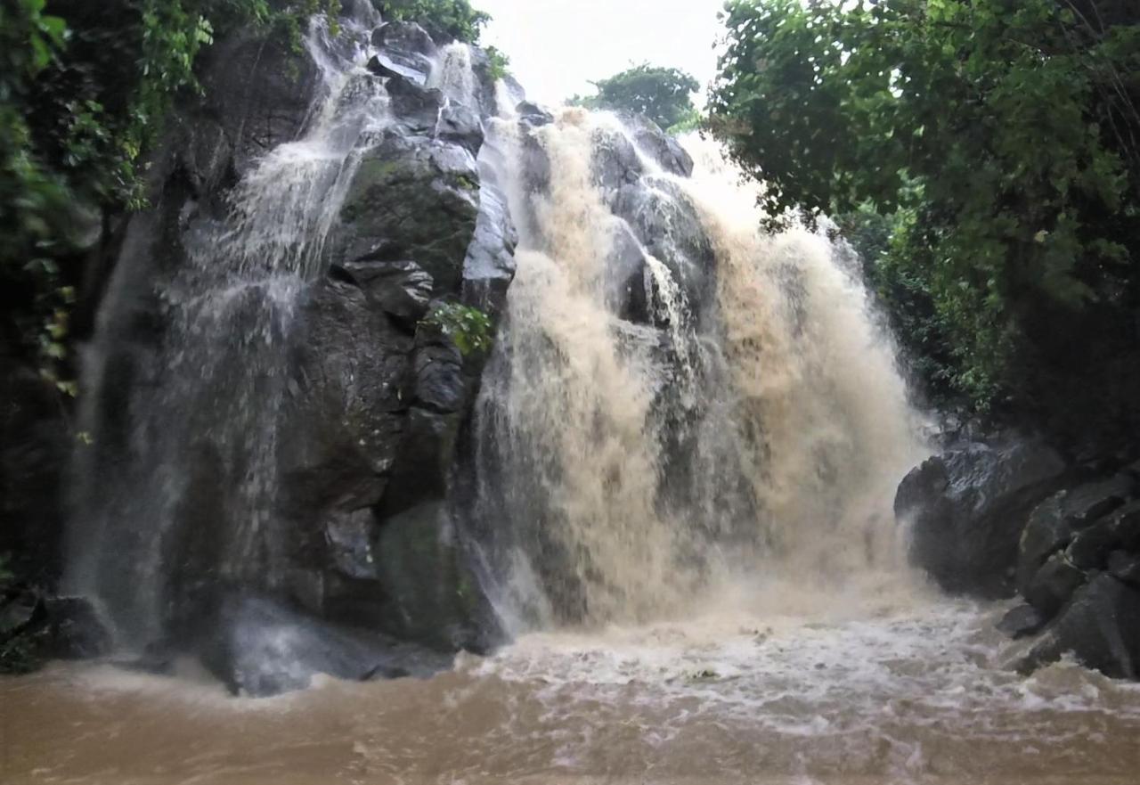 Moheli Vanilla Lodge Nioumachoua Экстерьер фото